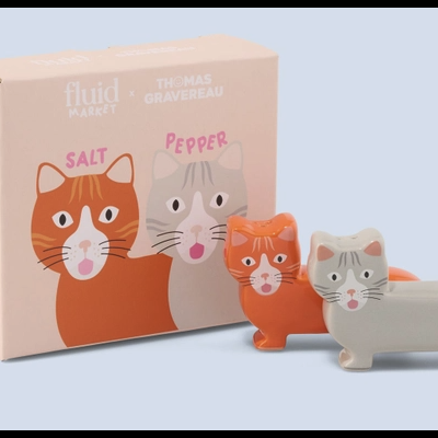 Conjunto saleiro e pimenteiro em forma de gatos com embalagem rosa