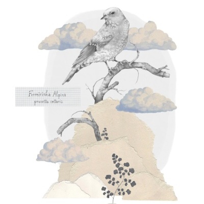 Ilustração de pássaro cinzento num ramo seco com nuvens e folhas decorativas e texto manuscrito.