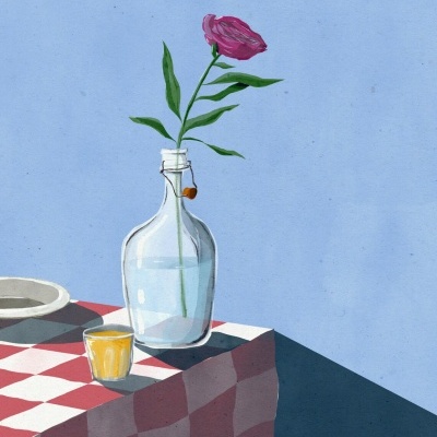 Garrafa de vidro com flor rosa e copo com líquido amarelo sobre mesa com toalha aos quadrados vermelhos e brancos