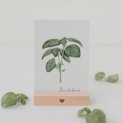 Cartão transparente com ilustração de manjericão e suporte de madeira com coração