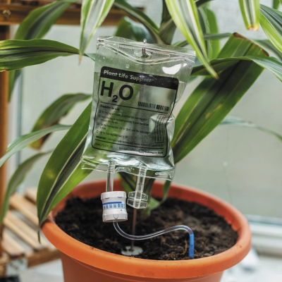 Frasco plástico transparente com líquido suspenso sobre vaso de planta