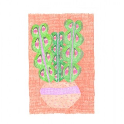 Desenho colorido de planta verde em vaso rosa com fundo laranja.