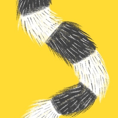 Ilustração de uma cobra peluda às riscas preto e branco num fundo amarelo