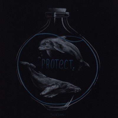 Ilustração de golfinho e baleia num frasco com a palavra PROTECT