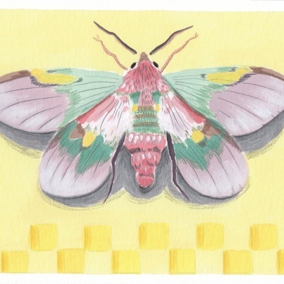 Ilustração colorida de mariposa sobre fundo amarelo com padrão de quadrados