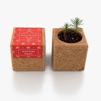 Dois cubos de cortiça, um com planta pequena e outro com rótulo vermelho Grow Cube Magnético