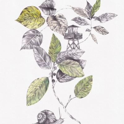 Ilustração botânica com folhas, torre de madeira e caracol num fundo branco.