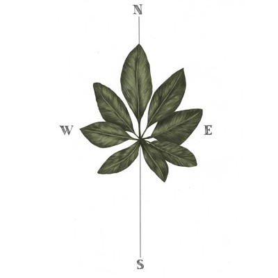 Ilustração de folha verde com sete folíolos e pontos cardeais