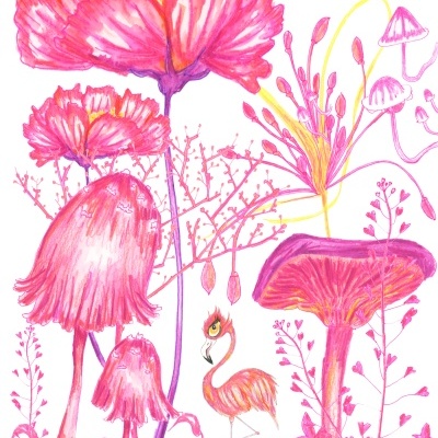 Ilustração colorida de cogumelos rosa e vermelho com flamingo