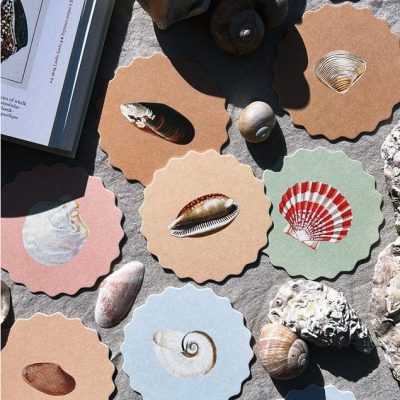 Cartões redondos coloridos com imagens de conchas rodeados por conchas naturais sobre tecido cinzento