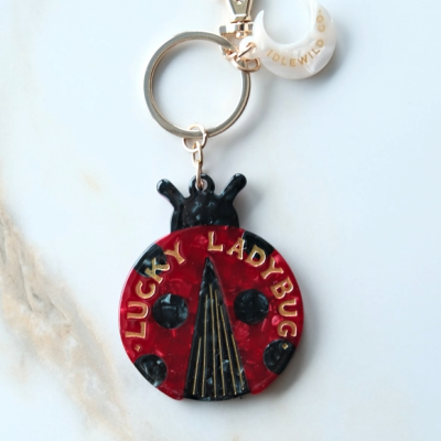 Porta-chaves com pendente joaninha e pendente meia-lua