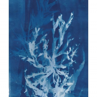 Arte tipo cianótipo azul com padrão branco abstrato