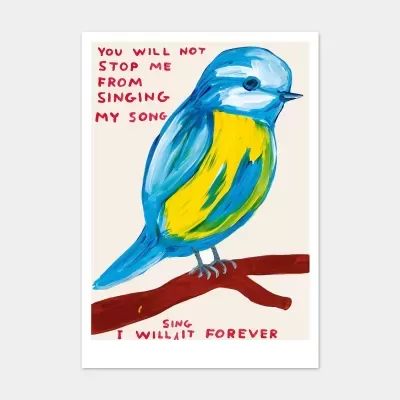 Ilustração de um pássaro azul e amarelo pousado numa rama com texto vermelho ao redor.