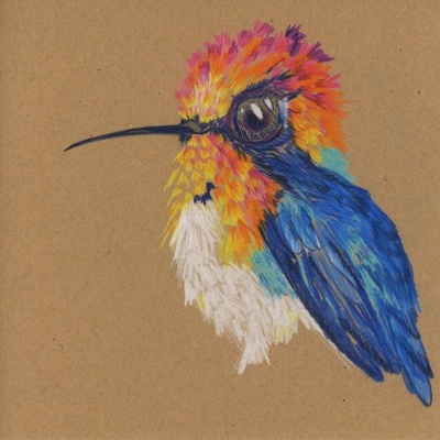 Desenho colorido de pássaro em papel castanho