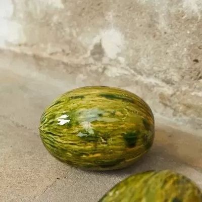 Dois melões verdes e amarelos sobre chão de cimento com parede rugosa ao fundo