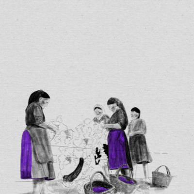 Ilustração de mulheres a debulhar milho com saias roxas e cestos de vime