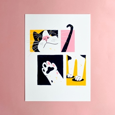 Ilustração colorida de gato dividida em quatro quadrados