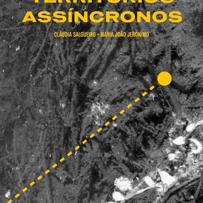 Texto amarelo sobre fundo cinzento e textura floral que anuncia evento TERRITÓRIOS ASSÍNCRONOS em 01 AGOSTO 2026
