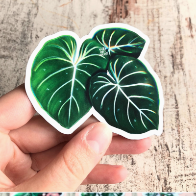 Autocolante de folhas verdes com nervuras brancas segurado por uma mão