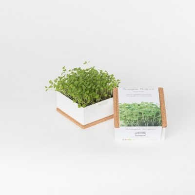 Kit de microverdes com caixa branca e castanha e embalagem com texto e imagem de microverdes
