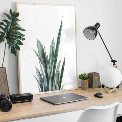 Mesa com portátil, candeeiro, planta e quadro com imagem de planta suculenta.