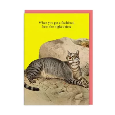 Cartão amarelo com texto e imagem de gato cinzento listrado deitado sobre rochas