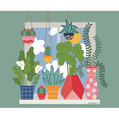 Conjunto de vasos coloridos com plantas variadas, alguns suspensos, sobre prateleira branca contra parede verde