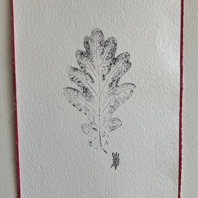 Desenho preto de folha de carvalho em papel branco texturado com borda vermelha