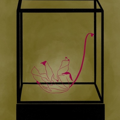 Desenho de caixa preta tridimensional com planta rosa num fundo castanho esverdeado