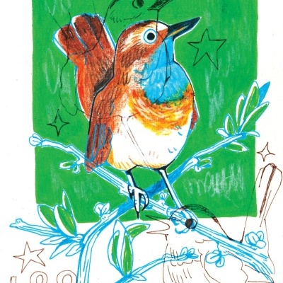 Ilustração de dois pássaros em galhos com fundo verde e estrelas desenhadas