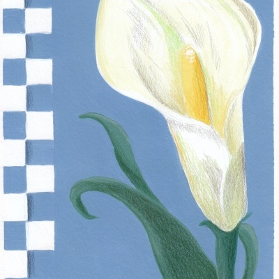 Desenho de flor de copo-de-leite com fundo azul e padrão de quadrados brancos.