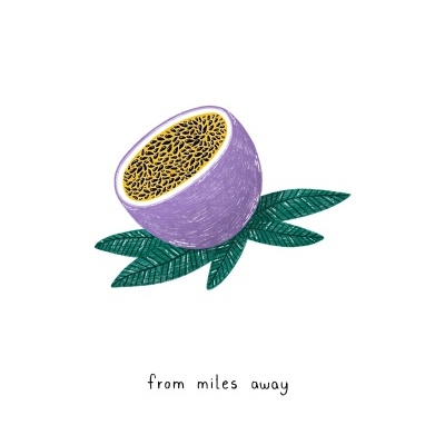 Desenho de metade de fruta roxa sobre folhas verdes com texto 'from miles away'