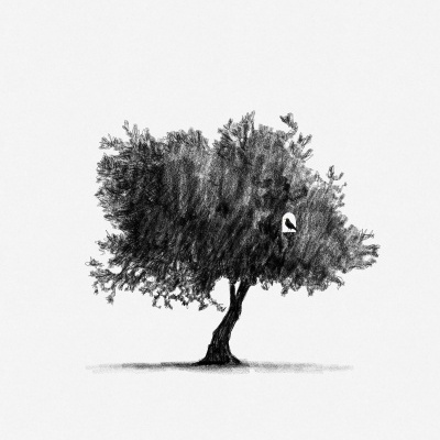 Desenho a preto e branco de uma árvore com uma janela e um pássaro dentro