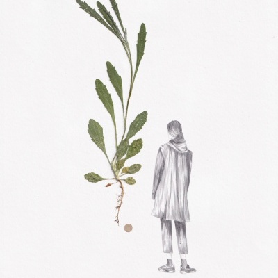 Planta verde com raiz ao lado de desenho a lápis de pessoa de costas em fundo branco