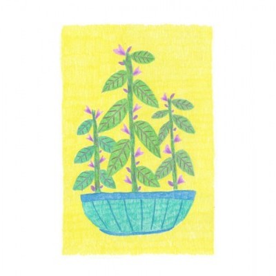 Desenho colorido de uma planta em vaso azul sobre fundo amarelo