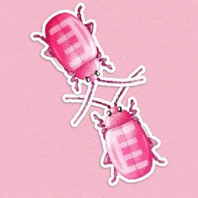 Dois autocolantes de besouro rosa sobre fundo rosa