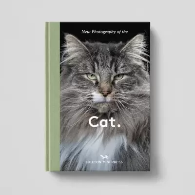 Livro com foto de gato na capa e lombada verde