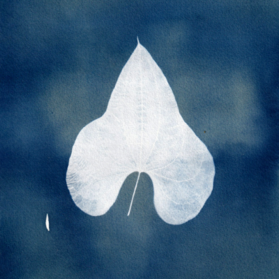 Folha branca com textura em fundo azul