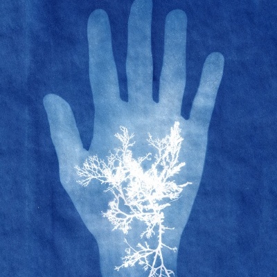 Mão azul com padrões brancos semelhantes a ramos