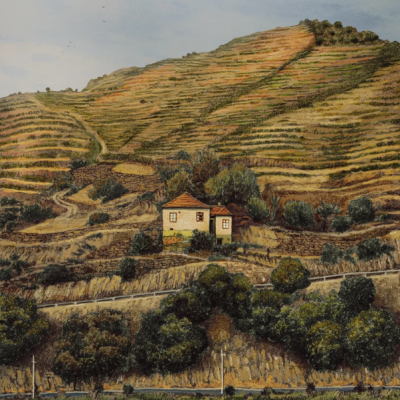 Paisagem rural com casa branca em socalcos de terra e vegetação, céu azul e água em primeiro plano.