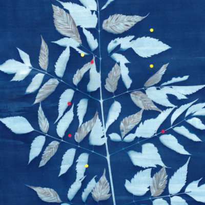 tecido azul escuro com padrão de folhas claras e pontos coloridos