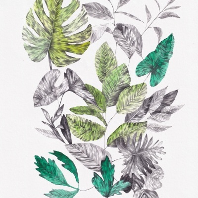Ilustração de folhas tropicais em tons verdes, cinza e turquesa sobre fundo branco