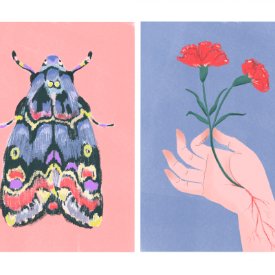 Ilustração de mariposa colorida e mão segurando flores vermelhas