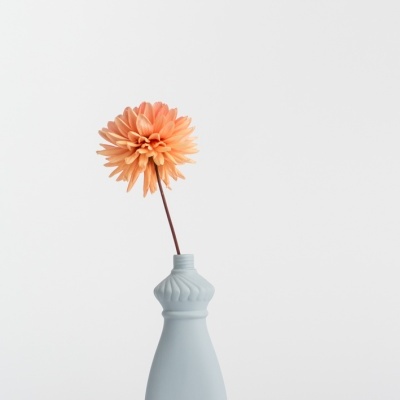 Vaso azul claro com flor laranja em fundo branco