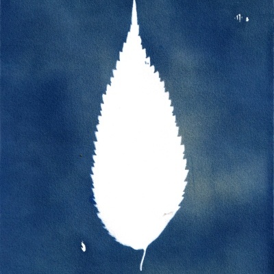 Folha branca recortada com padrão irregular sobre fundo azul texturizado