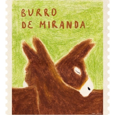 Ilustração colorida de dois burros castanhos sobre fundo verde com texto Burro de Miranda