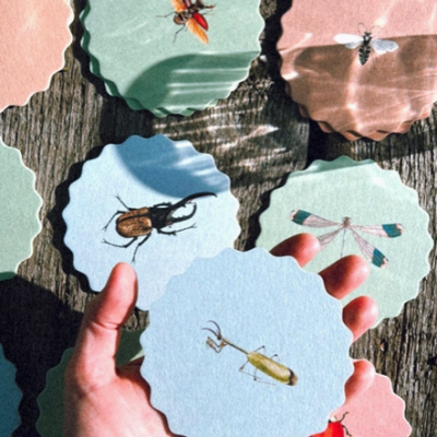 Bases para copos com desenhos de insetos coloridos e bordas onduladas sobre mesa de madeira