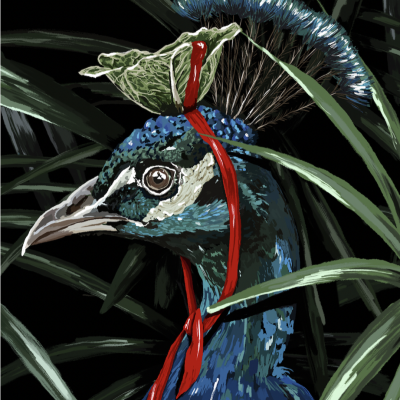 Pavão azul com crista e fita vermelha entre folhas verdes