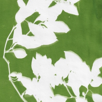 Padrão decorativo verde com folhas brancas em silhueta