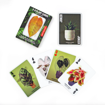 Cartas de jogar com imagens de plantas em vasos e caixa do baralho